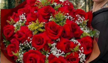 Dicas para cuidar das flores compradas em floriculturas