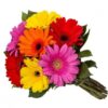 7 GERBERAS COMPACTA COLORIDA, 1 MINI FREIXENET,PALHA ITALIANA E 1 BALÃO - Image 4