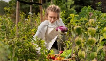 Jardins comestíveis: como transformar o seu quintal em uma fonte de alimentos frescos | Flora Horizonte