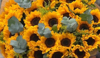 floriculturas locais em Curitiba