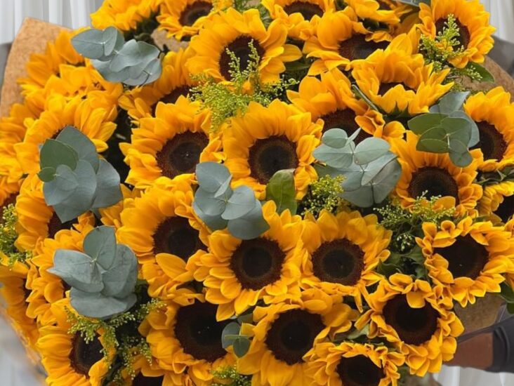 floriculturas locais em Curitiba