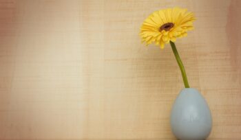 flores-na-decoração-casa