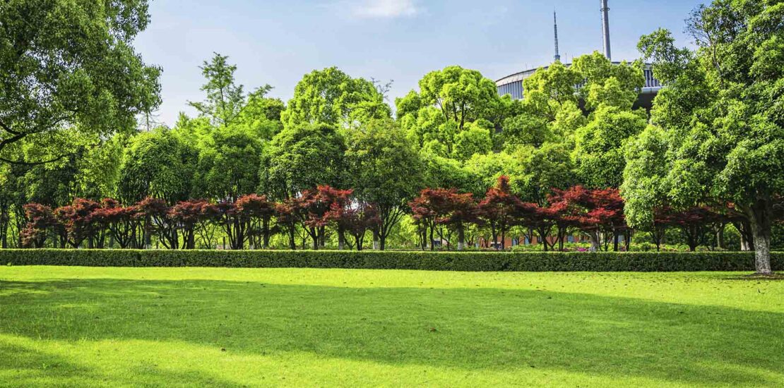 paisagismo na construção civil